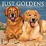 2026 Willow Creek Just Goldens 7" x 7" Monthly Wall Calendar (53607)~#|#~500724B4-9881-4E48-82F90A9541908439_sc7