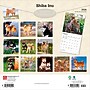 2026 BrownTrout Shiba Inu 12" x 12" Monthly Wall Calendar (9798330705528)~#|#~5008C7C4-DFFF-482B-A8B2125E5E8BF041_sc7