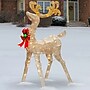 National Tree Company 48" Reindeer Decoration with White LED Lights (DF-070020U)~#|#~50155660-2432-474B-B9441D434DB468D6_sc7