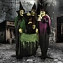 Haunted Hill Farm Animatronic Witches with Cauldron (HHWITCH-15FLS)~#|#~505E9590-CDA4-4FDE-B907F42DF3F0AD38_sc7