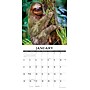 2026 Willow Creek Sloths 12" x 12" Monthly Wall Calendar (52846)~#|#~50615ADC-F4CE-4C86-95E959488266FB5E_sc7