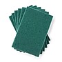 Coastwide Professional™ Medium Duty Scouring Pad, Green, 10/Pack (CW56787)~#|#~50765980-4566-4E3C-95750496D582C703_sc7