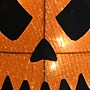 National Tree Company 16" Pre-Lit Scary Jack-O-Lantern (MZ17-6722)~#|#~507CFE30-3EA4-48A4-AEB1488673F8052E_sc7