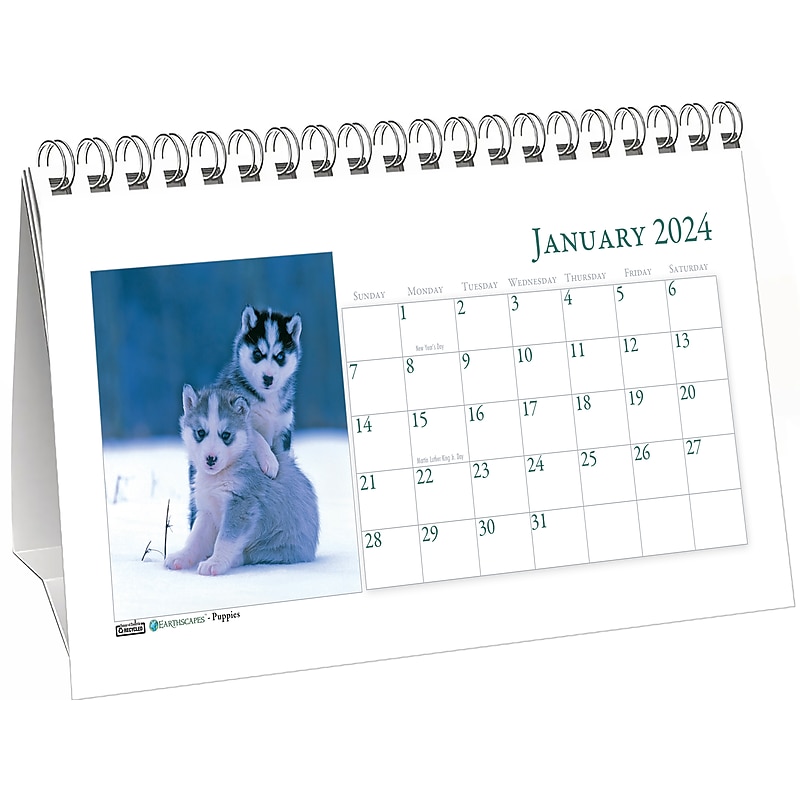 2024 House of Doolittle Puppies 8.25" x 4.25" Monthly Desk Tent Calendar (3659-24) image 1