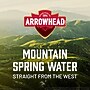 Arrowhead Mango Dragon Fruit Flavored Sparkling Spring Water, 12 oz., 24 Cans/Carton (19990766)~#|#~50826496-DE6D-4EEE-8713CBC2FEF2239D_sc7