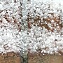 Snow Joe Pet Friendly Calcium Chloride Blend Snow & Ice Melt Pellets, 40 lb. Bag (MELT40ESB)~#|#~50913188-7F12-47E8-B7112F525D6B4444_sc7