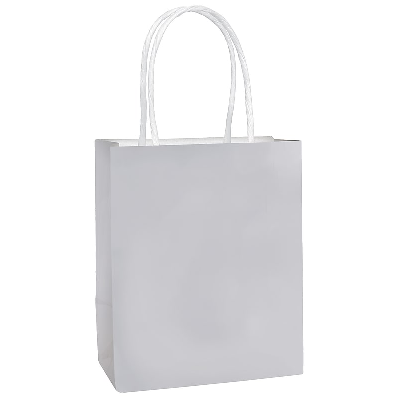 Party City Small Gift Bag, Silver (AM160831-NS) image 1