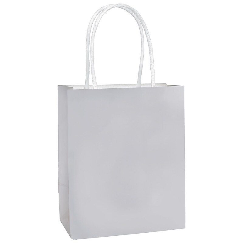 Party City Small Gift Bag, Silver (AM160831-NS) image 1