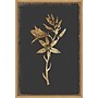 Amanti Art Carmass and Wild Hyacinth Flowers by PI Collection Framed Canvas Wall Art Print, 16" x 23" (A42674693411)~#|#~50CBFE93-8B2C-41D0-A6E45F5E3E075630_sc7
