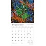2026 BrownTrout Georgia Wild & Scenic 12" x 12" Monthly Wall Calendar (9798330703340)~#|#~50D6B999-3569-46EA-907F915C6CF80839_sc7