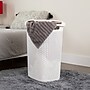 Mind Reader 15.85-Gallon Laundry Hamper with Lid, Plastic, White (60HAMP-WHT)~#|#~5114C813-647E-4F3C-B86D865C87943FE2_sc7