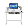 FlexiSpot EW8 48"W Rectangular Adjustable Metal Standing Desk, White (EW8W)~#|#~5128B57D-6720-49CB-89AC61E5B2246E34_sc7