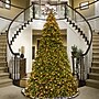 National Tree Company 6.5 ft. Pre-Lit Downswept Douglas Fir Artificial Christmas Tree with Color LED Lights (PEDD4-372D-160)~#|#~512CC032-8417-43A5-B80094E34F8C331F_sc7