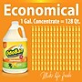 OdoBan Air Freshener & Deodorizer, Citrus Scent, 1 Gallon (911661-G4)~#|#~513D2914-7E87-453E-8451B07E05CC5279_sc7