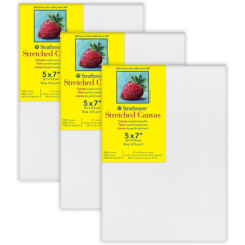 Strathmore 300 Series Primed White Stretched Canvas, 7" x 5", 3/Pack, 3/Bundle (STT31307-3) image 1