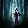 Haunted Hill Farm Life-Size Animatronic Witch with Broomstick (HHWITCH-5FLSA)~#|#~513FBE2A-CE58-4E5E-A92FA8C614C32B2C_sc7