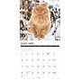 2027 Willow Creek Ginger Cats  12" x 12" Monthly Wall Calendar (60414)~#|#~51864586-7878-4148-95752A275EA5255D_sc7