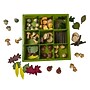 The Freckled Frog Nature's Sorting Box, Assorted Colors (CTUFF497)~#|#~51896896-1CF8-4E81-BC318C3F89FBA1C0_sc7