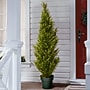 National Tree Company 53" Cedar Tree (QLMC4-53-1)~#|#~518F4EC3-D85A-48BF-9349D0A943197E73_sc7