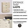 HON Brigade 600 Series 4-Drawer Lateral File Cabinet, Locking, Letter/Legal, Putty/Beige, 42"W (HON694LL)~#|#~51B07959-7FE8-429D-B003F5144592DB62_sc7