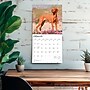 2026 BrownTrout Vizslas 12" x 12" Monthly Wall Calendar (9798330706167)~#|#~51BB574E-1E5C-4A51-B5F92B47A03F04AC_sc7