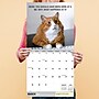 2026 TF Publishing Corporate Cats 12" x 12" Monthly Wall Calendar, Multi (26-1005)~#|#~51BF4B7C-DF2C-43CE-A47EBA86C23EABEB_sc7