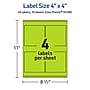 Avery Laser/Inkjet Multipurpose Square Labels, 4" x 4", Bright Green, 40/Pack (94100)~#|#~51C0FFD6-F55F-42C8-8C248CFADD6254B9_sc7