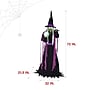 Haunted Hill Farm 6' Tall Motion-Activated Fortune Teller Witch (HHFTNWITCH-6F)~#|#~51C1355B-EB96-4072-BC8F4780D4B0814C_sc7