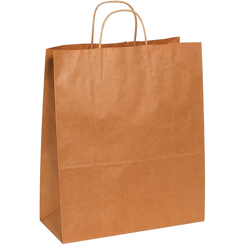 Traveler 15.75" x 13" x 6" Kraft Paper Shopping Bags, 250/Carton (BGS105K) image 1