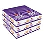 Hostess Cloverhill Cinnamon Roll, 4 oz, 36/Pack (220-02473)~#|#~51C99517-9C1B-47E6-9ECCBC28381DF573_sc7