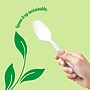 Perk™ Eco Compostable PLA Spoon, Medium-Weight, White, 1800/Carton (PK56203CT)~#|#~51CBAA99-1995-4E96-B38B97C3179C6A27_sc7