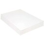 Bazic Foam Board, 20" x 30", White, 6/Bundle(BAZ589-6)~#|#~51CF62D5-8038-49C5-98A37B3FB8AD0740_sc7