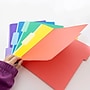 Bazic COLOR File Folders, 1-Tab, Letter/Legal Size, Assorted Colors, 100/Box (BAZ3149)~#|#~51EBB287-1A95-4C5D-ABCF3B72D95F1F6D_sc7