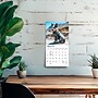 2027 BrownTrout Blue Heelers 7" x 7" Monthly Wall Calendar, Assorted Colors (9798330709908)~#|#~5202977D-89EF-48EC-BDB353348987A378_sc7