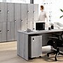 Bush Business Furniture Assure Mobile File Cabinet, Letter/Legal Size, Lockable, 26"H x 16"W x 20"D, Platinum Gray (AUS216PGSU)~#|#~52043AEE-569F-4C5C-88BD48933F7AF71B_sc7