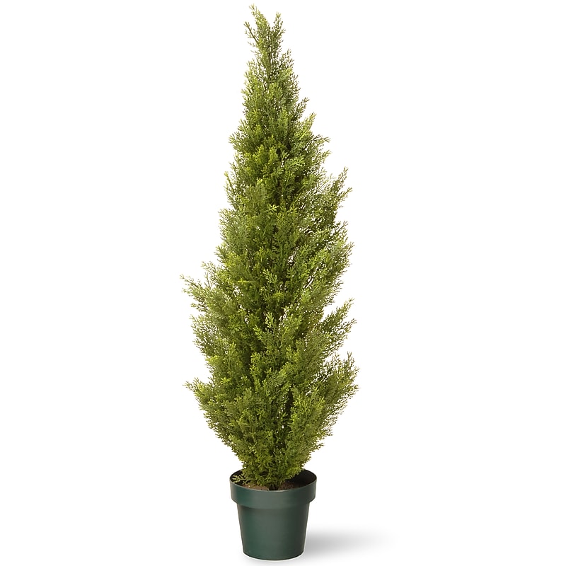 National Tree Company 53" Cedar Tree with Dark Green Round Growers Pot (QLMC8-53-1) image 1