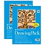 Strathmore 100 Series 9" x 12" Drawing Sketch Pad, 200 Sheets/Pad, 2/Pack (STTP271191-2)~#|#~521D2975-C124-402C-B27A4600B4852102_sc7
