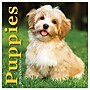 2026 TF Publishing 12" x 17" TF Publishing 7" x 7" Puppies Mini Calendar 26-2007~#|#~52270143-5D0C-4877-9A2600287A624C3F_sc7