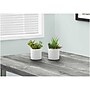 Monarch Specialties Inc. Succulents in Pots, 2/Pack (I 9588)~#|#~522E244F-6748-4247-977EF3F147FF0AFE_sc7