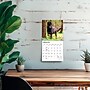 2027 BrownTrout German Shepherds 7" x 7" Monthly Wall Calendar, Assorted Colors (9798330710003)~#|#~5232F6E7-9553-45B3-9DEB9F4CE32A0E9C_sc7