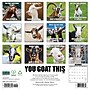2027 Willow Creek You Goat This 12" x 12" Monthly Wall Calendar, Assorted Colors (63132)~#|#~523735A7-240E-49F0-BBD42E8BFFA48FC3_sc7
