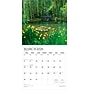 2026 Plato Monet's Garden 12" x 12" Monthly Wall Calendar (9798330706877)~#|#~523A2E14-CF28-40F5-906505142F8C8AC5_sc7