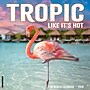 2026 Willow Creek Tropic Like It’s Hot 12" x 12" Monthly Wall Calendar (56196)~#|#~52458363-A8EE-4F17-917F70B6736BA6BD_sc7