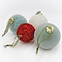 National Tree Company 24 Piece HGTV Home Collection Nostalgic Traditions Ornaments (AH63-NT24220111)~#|#~524850BD-FF42-424B-90EE6865AB2AD1BF_sc7