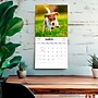 2027 BrownTrout Puppy Love 12" x 12" Monthly Wall Calendar (9347301107344)~#|#~525366FE-90A7-488D-94E2F91573497FFB_sc7