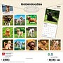 2027 BrownTrout Goldendoodles 12" x 12" Monthly Wall Calendar (9798330712489)~#|#~5254E5F4-F181-4B6F-997146A120A4A246_sc7