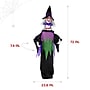 Haunted Hill Farm Lifesize Animatronic Witch (HHWITCH-51FLSA)~#|#~52568F50-CC4C-42A8-89D669F781F021C1_sc7