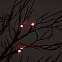 Nearly Natural 2' Pre-Lit Twig Artificial Fall Tree, 44 Lights, Black (T4762)~#|#~526E3121-8EF2-4BA7-86E664C124126814_sc7