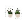 Monarch Specialties Inc. 9" Artificial Succulent Plant in Pot, 2/Set (I 9365)~#|#~526E5C4E-78D5-484D-BD0489F3855EBEB5_sc7