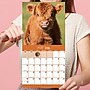 2026 TF Publishing 12" x 17" TF Publishing 7" x 7" TF Publishing 7" x 7" Baby Animals Mini Calendar 26-2000~#|#~527A35BA-31F5-4D2D-849AEB80D45FAF92_sc7